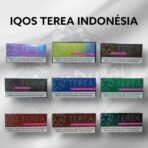 Terea IQOS Indonesian